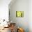 Vert Lime-Anna Polanski-Mounted Art Print displayed on a wall