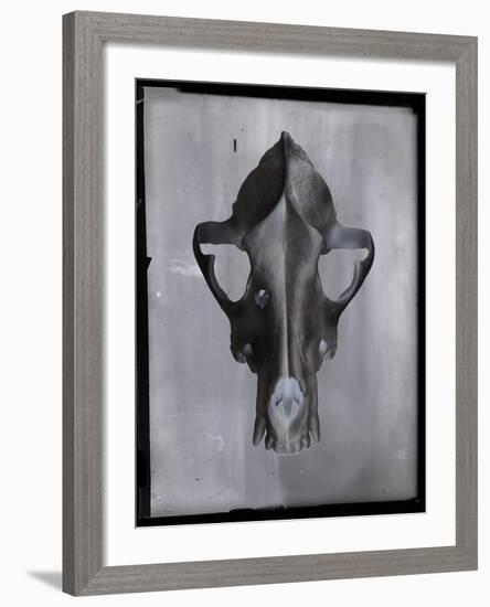 Vertex-Chris Dunker-Framed Giclee Print