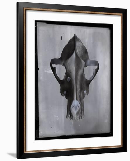 Vertex-Chris Dunker-Framed Giclee Print