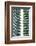 Vertical and Horizontal-Adrian Campfield-Framed Photographic Print
