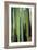 Vertical Candelabro Cactus in Oaxaca, 2003-Pedro Diego Alvarado-Framed Giclee Print