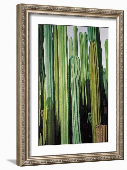 Vertical Candelabro Cactus in Oaxaca, 2003-Pedro Diego Alvarado-Framed Giclee Print