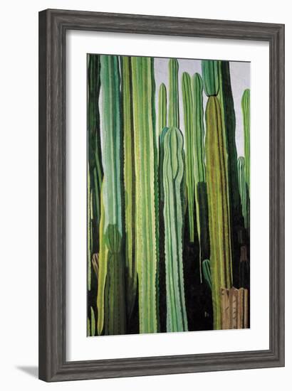 Vertical Candelabro Cactus in Oaxaca, 2003-Pedro Diego Alvarado-Framed Giclee Print