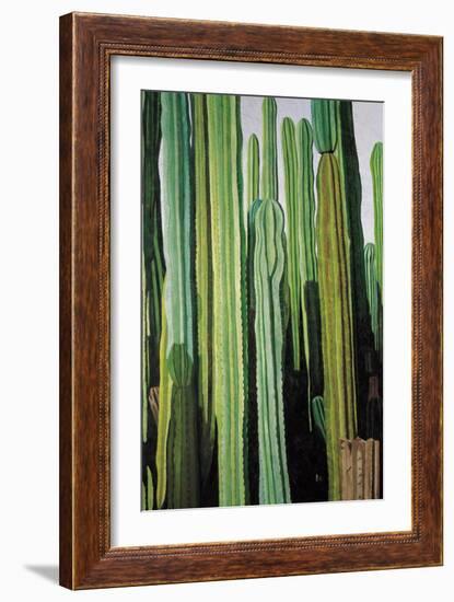 Vertical Candelabro Cactus in Oaxaca, 2003-Pedro Diego Alvarado-Framed Giclee Print