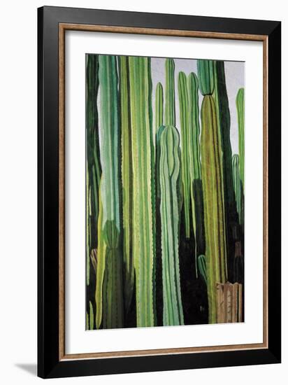 Vertical Candelabro Cactus in Oaxaca, 2003-Pedro Diego Alvarado-Framed Giclee Print