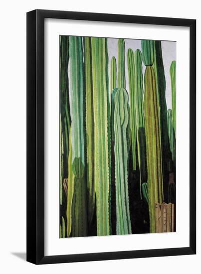 Vertical Candelabro Cactus in Oaxaca, 2003-Pedro Diego Alvarado-Framed Giclee Print