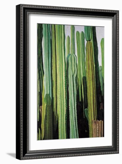 Vertical Candelabro Cactus in Oaxaca, 2003-Pedro Diego Alvarado-Framed Giclee Print