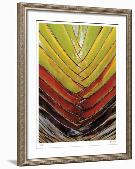 Vertical Color Palm-John Gynell-Framed Giclee Print