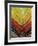 Vertical Color Palm-John Gynell-Framed Giclee Print