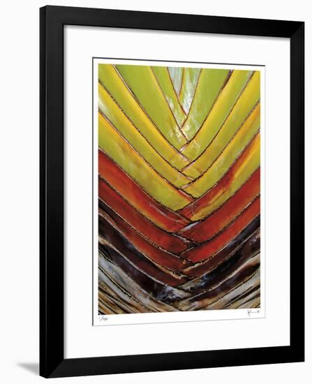 Vertical Color Palm-John Gynell-Framed Giclee Print