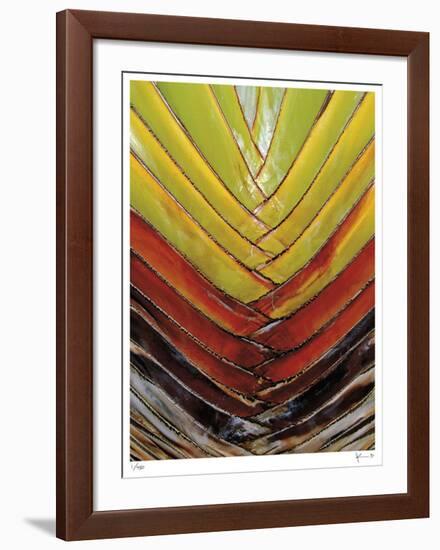 Vertical Color Palm-John Gynell-Framed Giclee Print