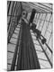 Premium Photographic Print