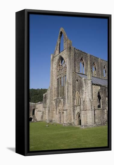 Vertical view of West front and South west corner of Tintern Abbey, Monmouthshire, Wales-Julian Pottage-Framed Premier Image Canvas