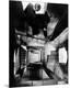 Premium Photographic Print