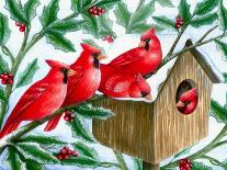 Christmas 10 Winter-Veruschka Guerra-Framed Giclee Print