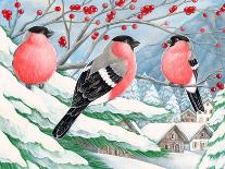 Christmas 14 Snowflake Magic-Veruschka Guerra-Framed Giclee Print