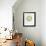 Verve - Rosace-Henri Matisse-Framed Collectable Print displayed on a wall