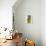Verve - Zulma-Henri Matisse-Premium Edition displayed on a wall