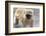 Vervet Monkey (Cercopithecus Aethiops), Chobe National Park, Botswana, Africa-Sergio Pitamitz-Framed Photographic Print