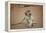 Vervet Monkey infant (Chlorocebus pygerythrus), Kruger National Park, South Africa-David Wall-Framed Premier Image Canvas