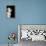 Vervet Monkey-byrdyak-Framed Premier Image Canvas displayed on a wall