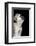 Vervet Monkey-byrdyak-Framed Photographic Print