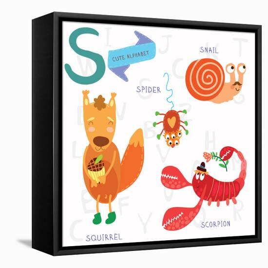 Very Cute Alphabet. S Letter.Squirrel, Scorpion, Spider, Snail.-Ovocheva-Framed Stretched Canvas