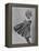 Very Cute Young Model Wearing a Dress-Lisa Larsen-Framed Premier Image Canvas