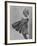 Very Cute Young Model Wearing a Dress-Lisa Larsen-Framed Photographic Print