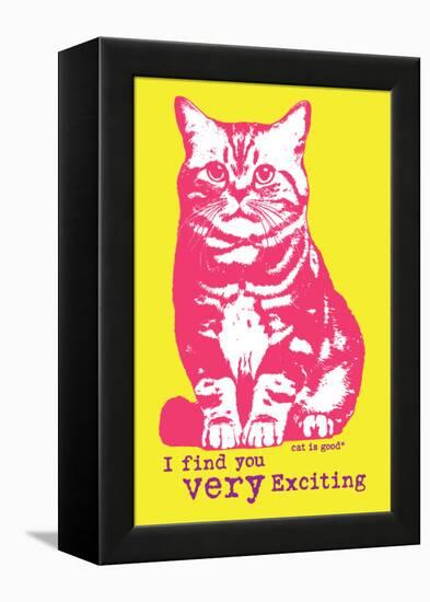 Very Exciting-Cat is Good-Framed Stretched Canvas