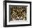 Very Focused-Art Wolfe-Framed Photographic Print
