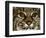 Very Focused-Art Wolfe-Framed Photographic Print