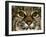 Very Focused-Art Wolfe-Framed Photographic Print