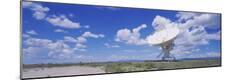 Premium Photographic Print
