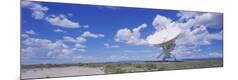 Premium Photographic Print