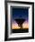 Very Long Baseline Array Radio Telescope, Hawaii-David Nunuk-Framed Photographic Print