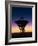 Very Long Baseline Array Radio Telescope, Hawaii-David Nunuk-Framed Photographic Print