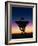 Very Long Baseline Array Radio Telescope, Hawaii-David Nunuk-Framed Photographic Print