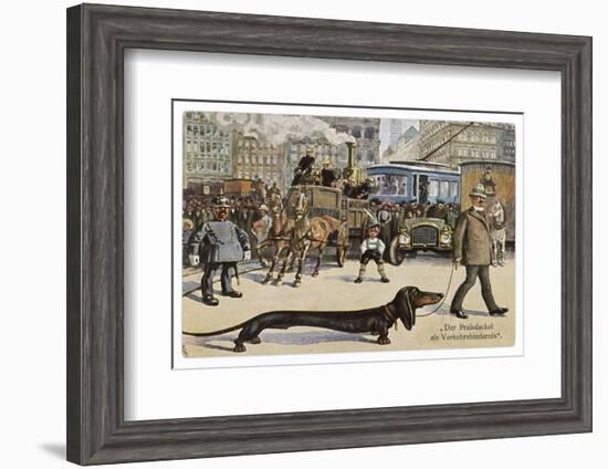 Very Long Dachshund Causes a Problem for Traffic When It Crosses the Road with His Owner-null-Framed Photographic Print