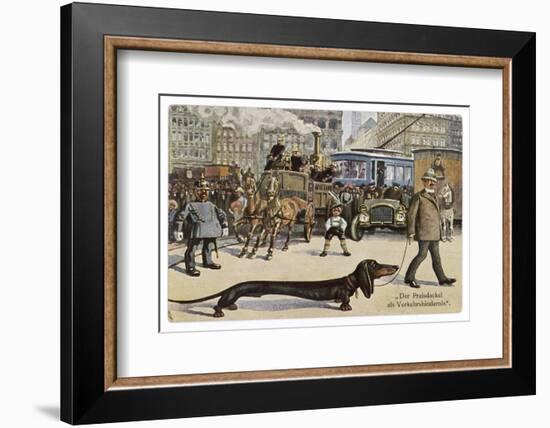 Very Long Dachshund Causes a Problem for Traffic When It Crosses the Road with His Owner-null-Framed Photographic Print