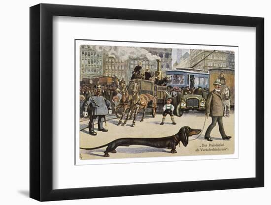 Very Long Dachshund Causes a Problem for Traffic When It Crosses the Road with His Owner-null-Framed Photographic Print