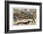 Very Long Dachshund Causes a Problem for Traffic When It Crosses the Road with His Owner-null-Framed Photographic Print
