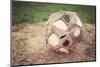 Very Old Well Used Soccer Ball-soupstock-Mounted Photographic Print