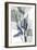 Very Peri Eucalyptus 1-Albert Koetsier-Framed Premium Giclee Print