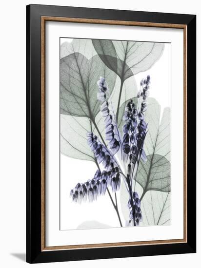 Very Peri Eucalyptus 1-Albert Koetsier-Framed Premium Giclee Print