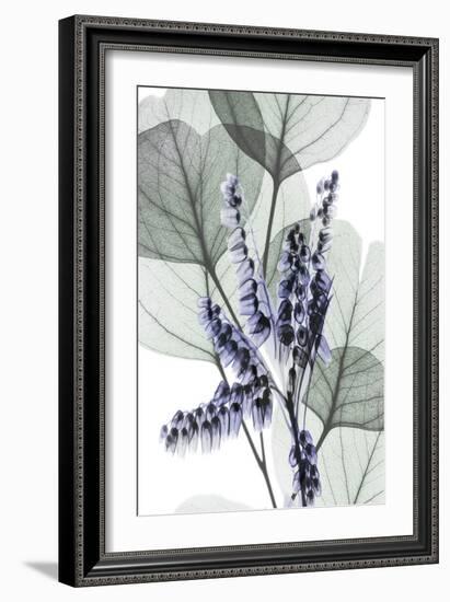 Very Peri Eucalyptus 1-Albert Koetsier-Framed Premium Giclee Print