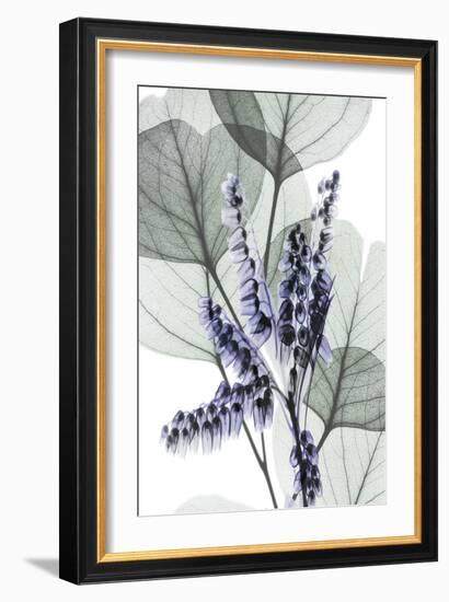 Very Peri Eucalyptus 1-Albert Koetsier-Framed Premium Giclee Print