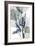 Very Peri Eucalyptus 1-Albert Koetsier-Framed Art Print