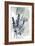 Very Peri Eucalyptus 2-Albert Koetsier-Framed Art Print