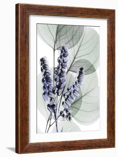 Very Peri Eucalyptus 2-Albert Koetsier-Framed Art Print